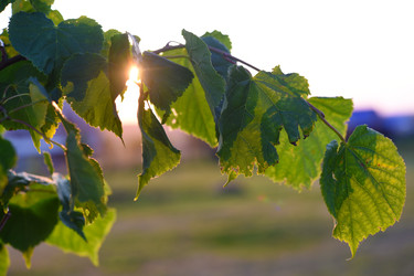 Similar image 22261964