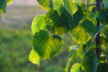 Similar image 22261965