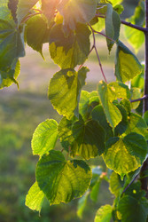 Similar image 22261966