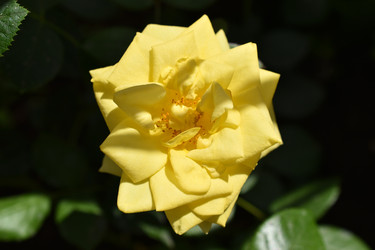 Similar image 22254244