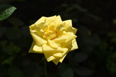 Similar image 22254245