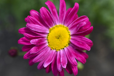 Similar image 22254263