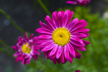 Similar image 22254264