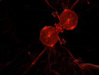 Similar image 22280649