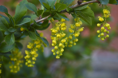 Similar image 22262041