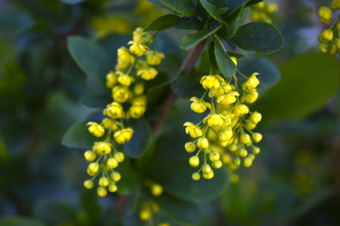 Similar image 22262042