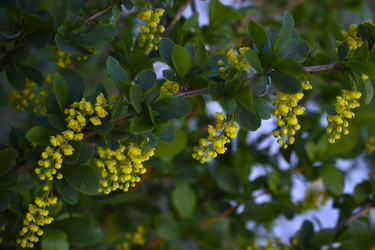 Similar image 22262043