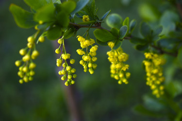 Similar image 22262044