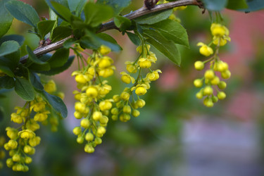 Similar image 22262045