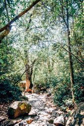 Similar image 22267575