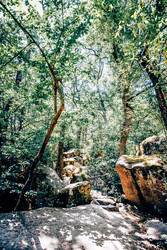 Similar image 22267576