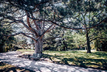 Similar image 22267578