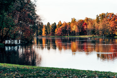 Similar image 22267639