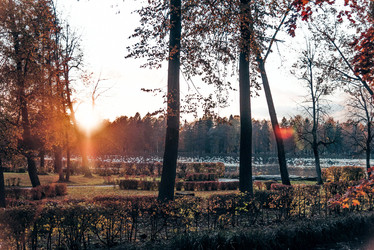 Similar image 22267642