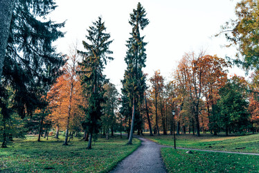 Similar image 22267643