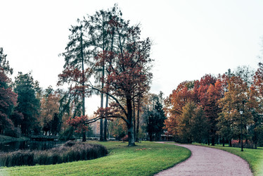 Similar image 22267816