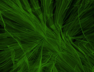 Similar image 22286011