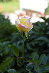 Similar image 22262063