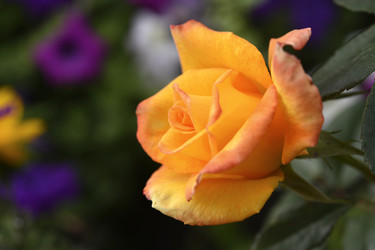 Similar image 22262066