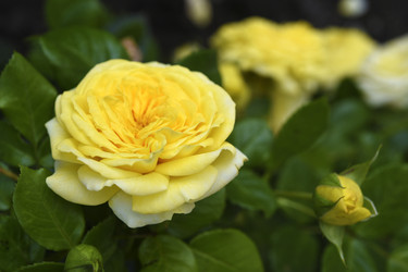 Similar image 22262069