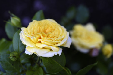 Similar image 22262071