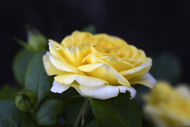 Similar image 22262072