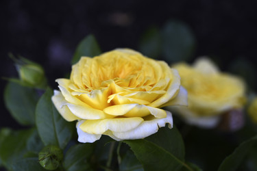 Similar image 22262073