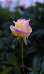 Similar image 22262074