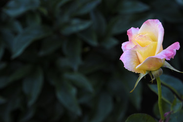 Similar image 22262075