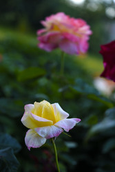 Similar image 22262077