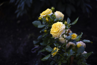 Similar image 22262078