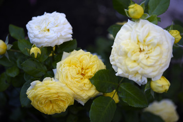 Similar image 22262081