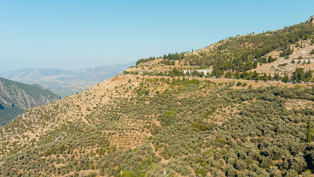 Similar image 22249454