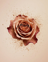 Similar image 22255903