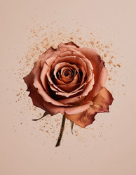 Similar image 22255904