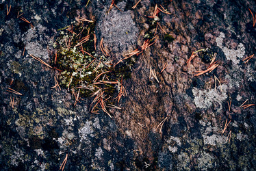 Similar image 22266601