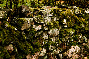 Similar image 22266798