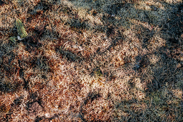 Similar image 22266799