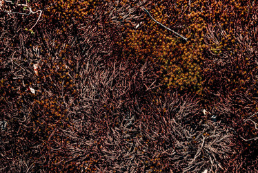 Similar image 22266801