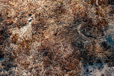 Similar image 22266802