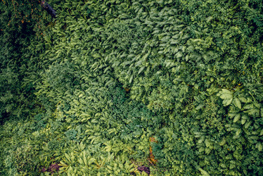 Similar image 22266803