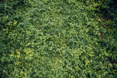 Similar image 22266804