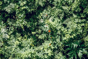 Similar image 22266805