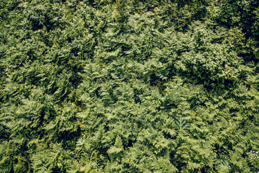 Similar image 22266806