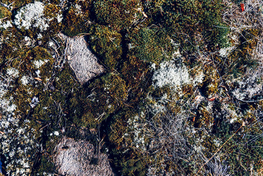 Similar image 22266808