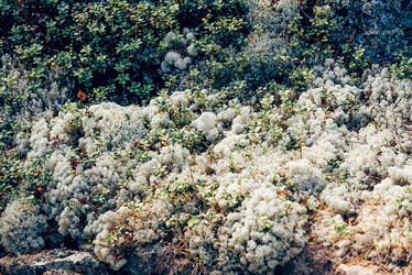 Similar image 22266809