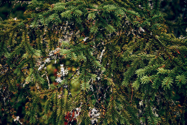 Similar image 22266811