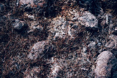 Similar image 22267080