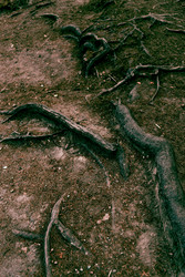 Similar image 22267082