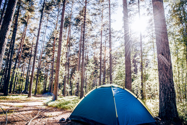 Similar image 22267423